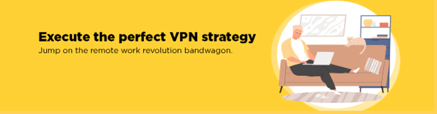 Executed the perfect VPN strategy